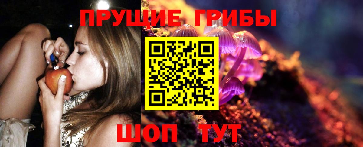 Псилоцибиновые грибы мухоморы Димитровград